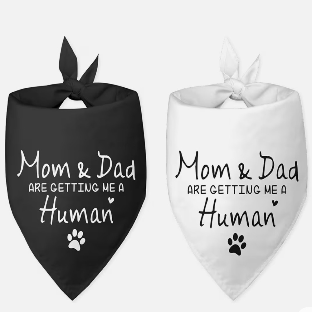Set of 2 Pet Bandanas Pregnancy Announcement